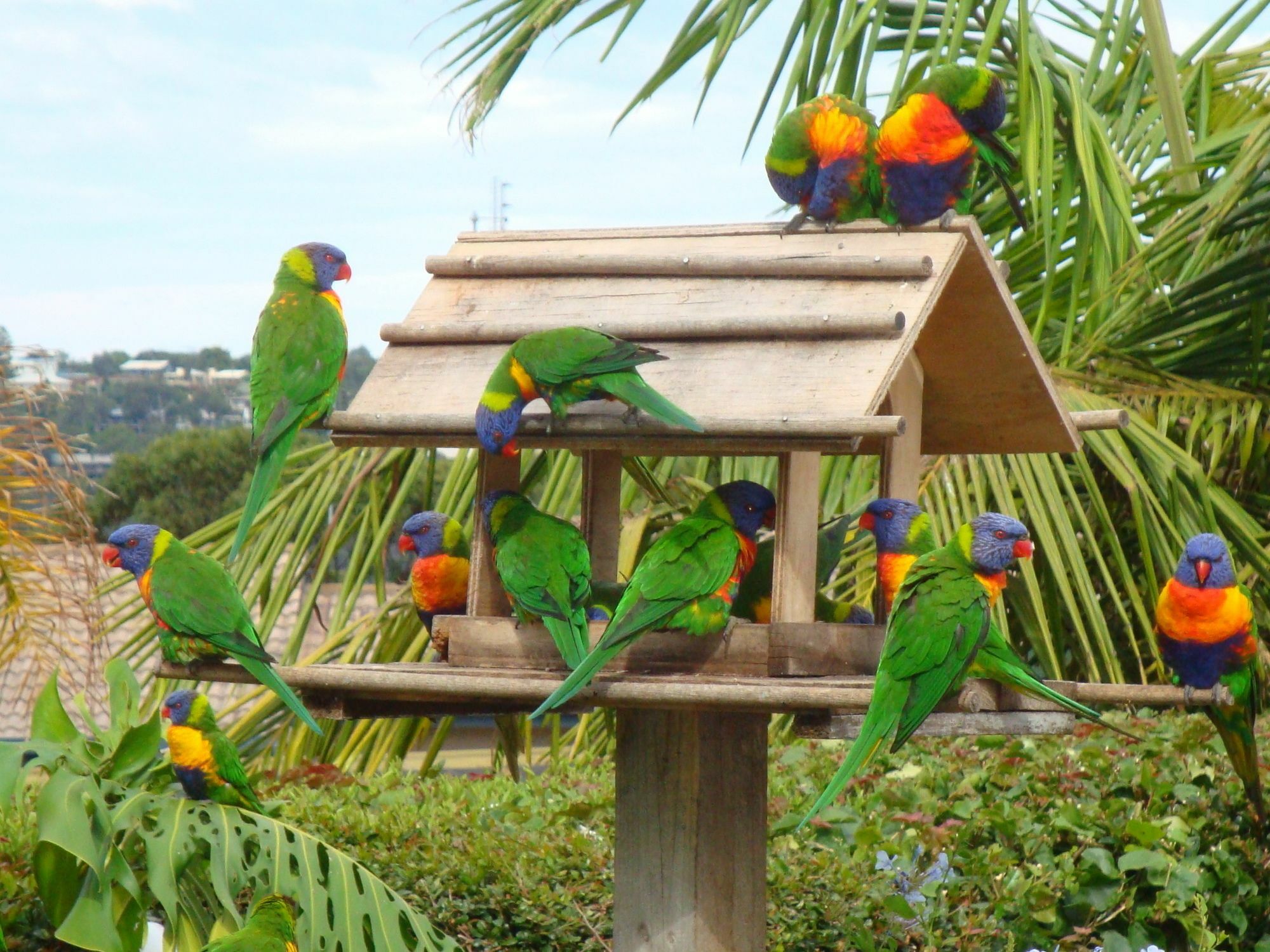 Sea Spray Motel - Merimbula (Adults Only) מראה חיצוני תמונה